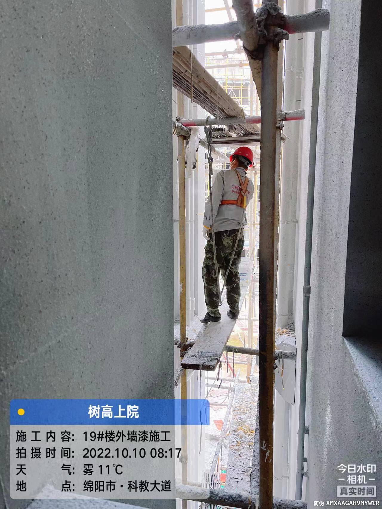 1666945814452123.jpg 1666945814452123.jpg