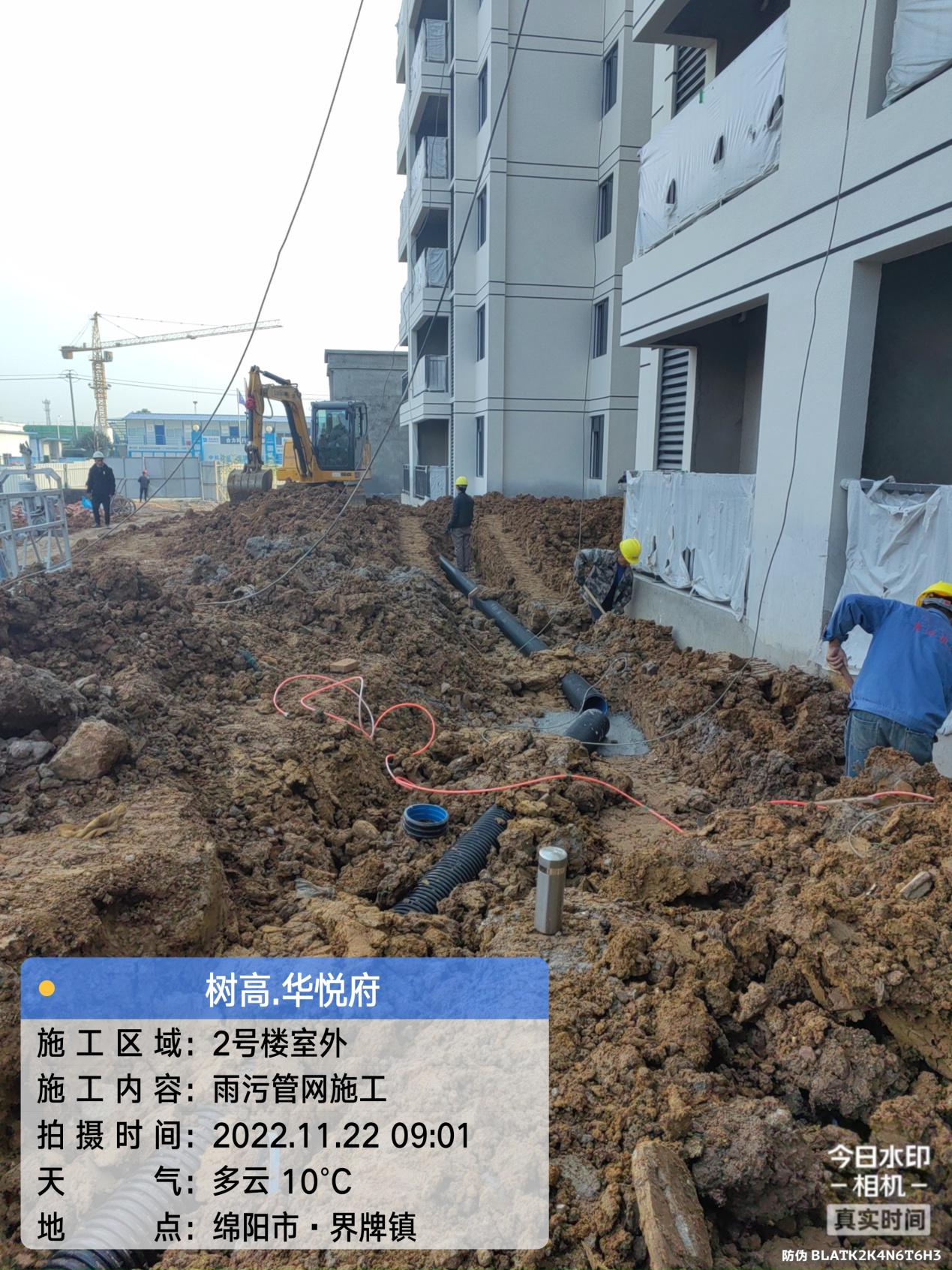 1669701912265114.jpg 1669701912265114.jpg