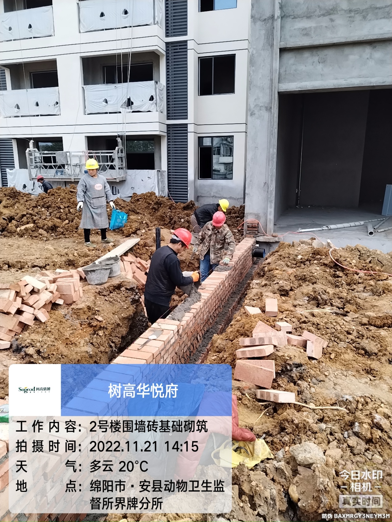 1669701913151250.jpg 1669701913151250.jpg