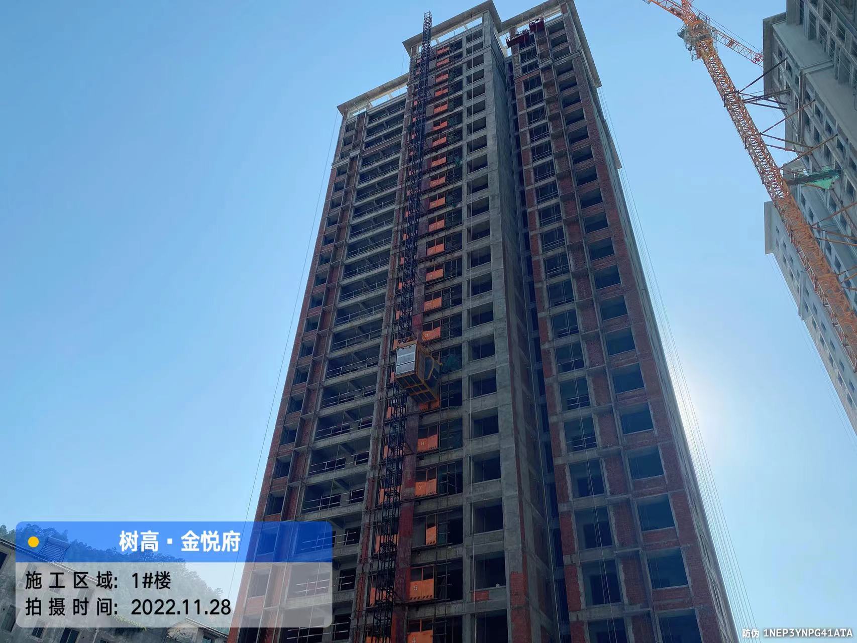 1669702345705109.jpg 1669702345705109.jpg