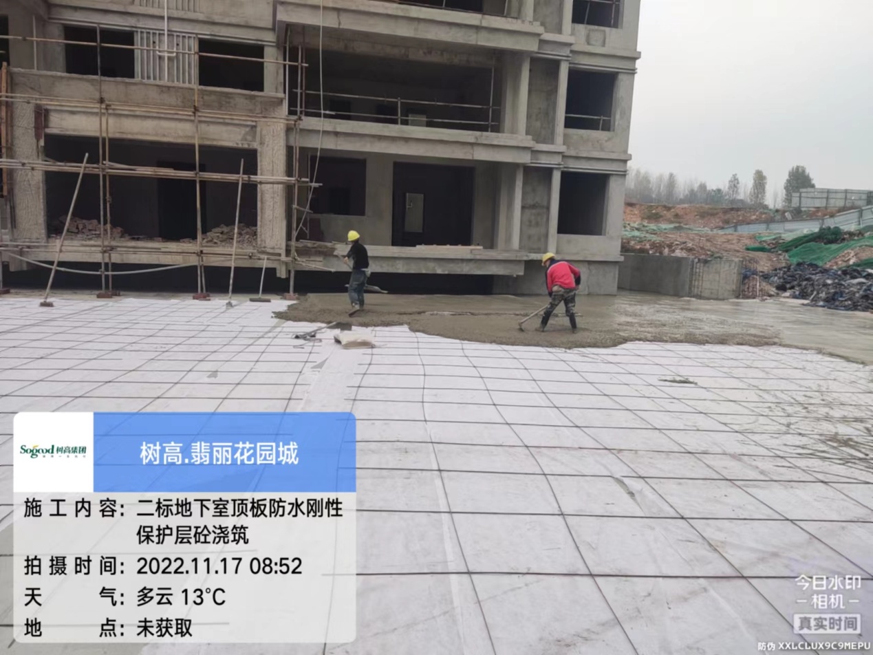 1669703068139078.jpg 1669703068139078.jpg