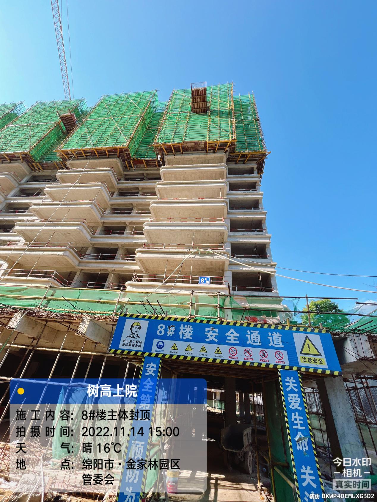 1669703887480267.jpg 1669703887480267.jpg