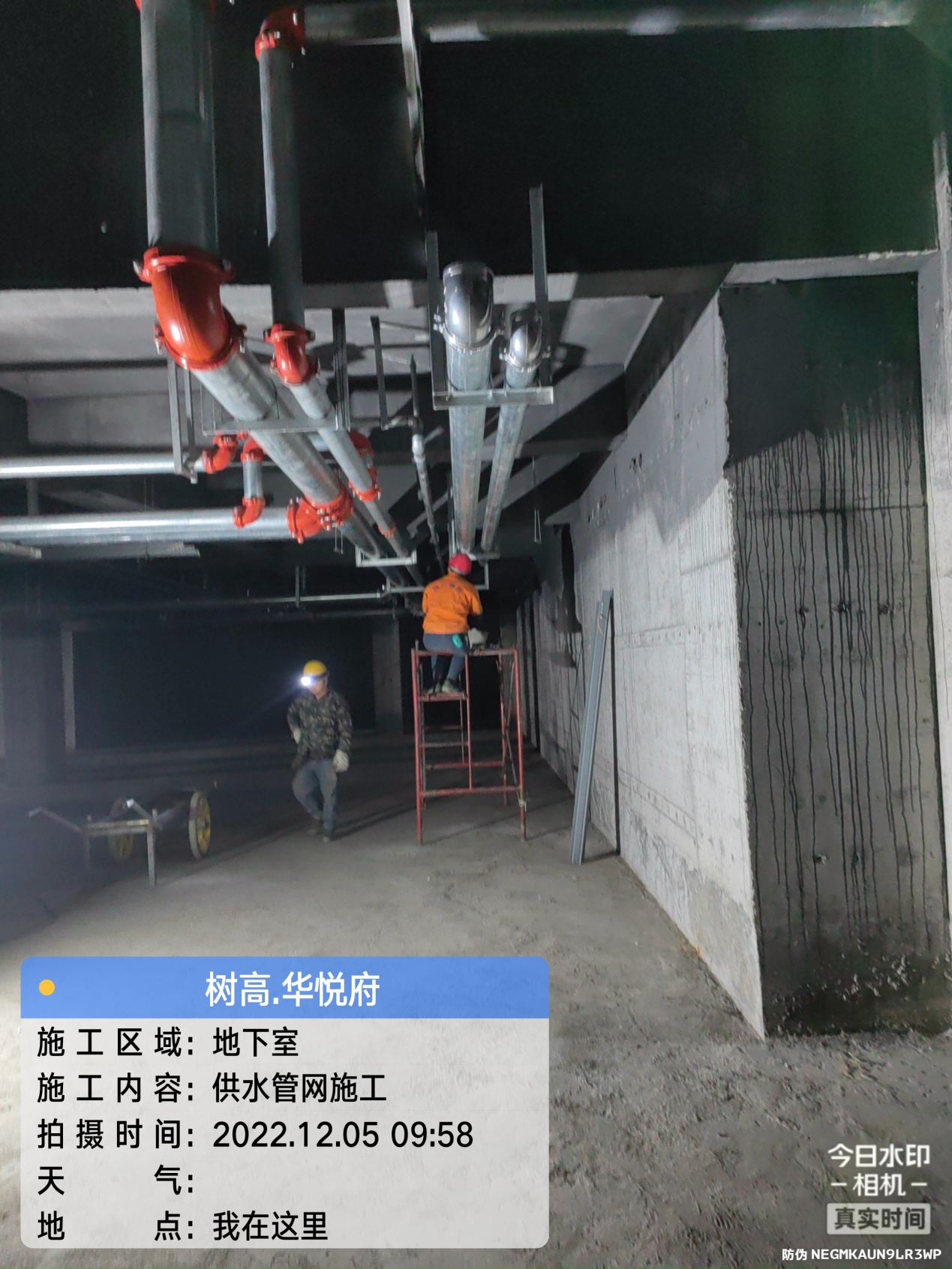 1672385833144413.jpg 1672385833144413.jpg