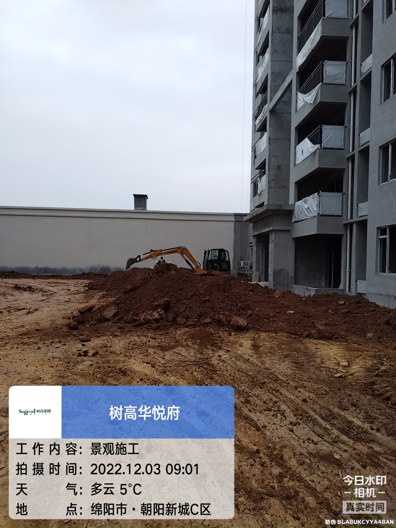 1672385833177170.jpg 1672385833177170.jpg