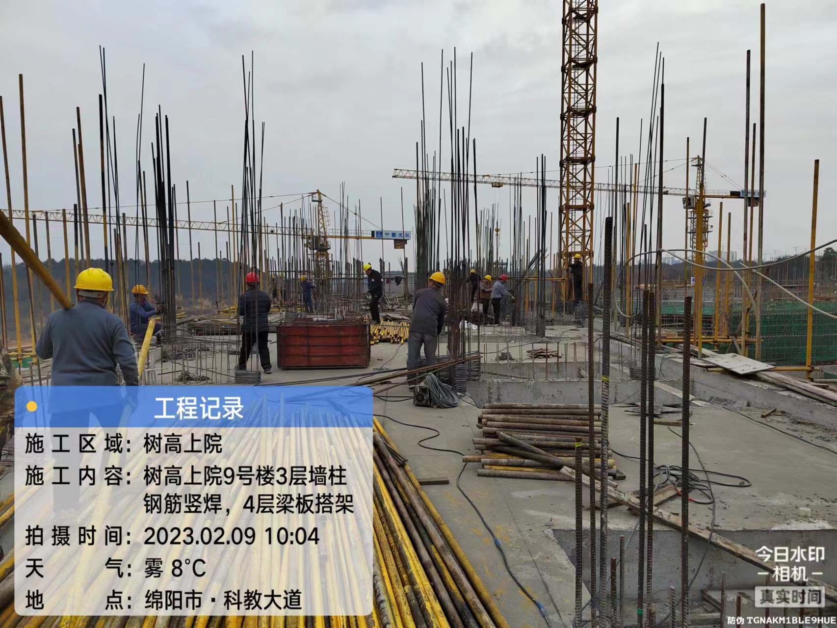 1677656120630357.jpg 1677656120630357.jpg