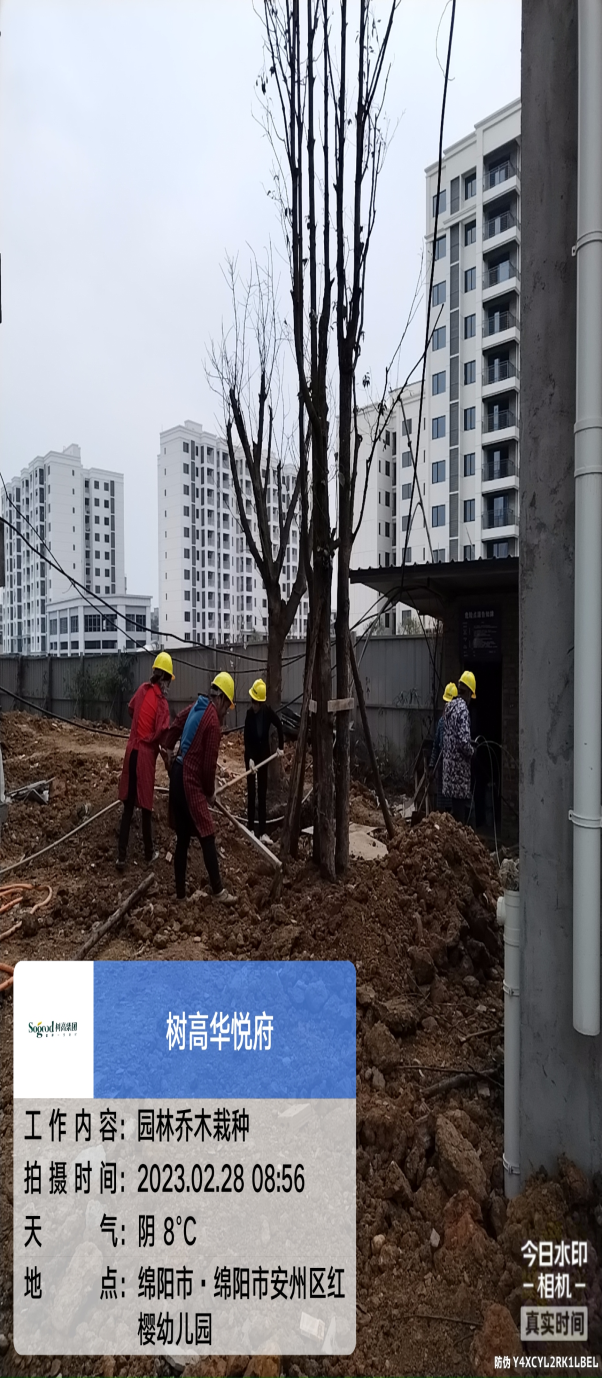 1677657824208879.png 1677657824208879.png