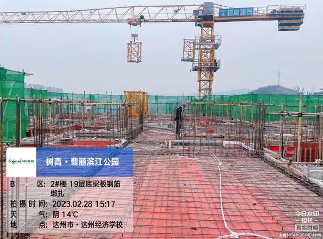 1680500405113399.jpg 1680500405113399.jpg