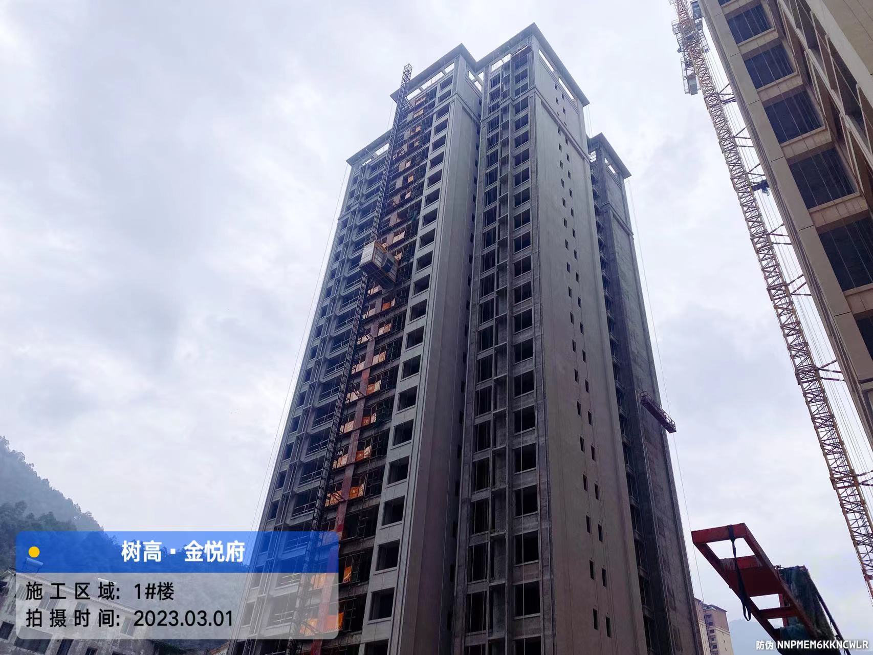 1680503370183604.jpg 1680503370183604.jpg