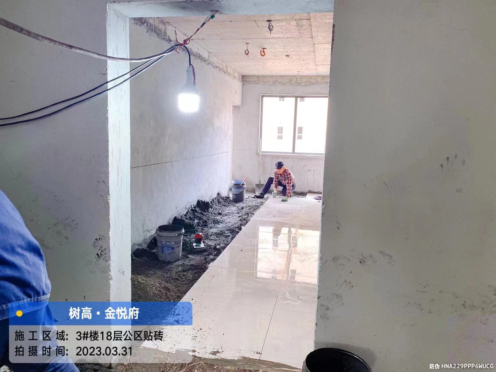 1680503370604219.jpg 1680503370604219.jpg