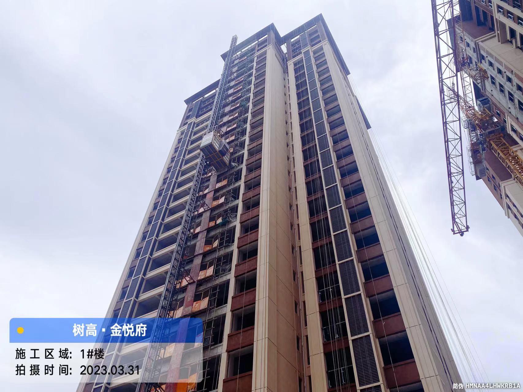 1680503370642385.jpg 1680503370642385.jpg