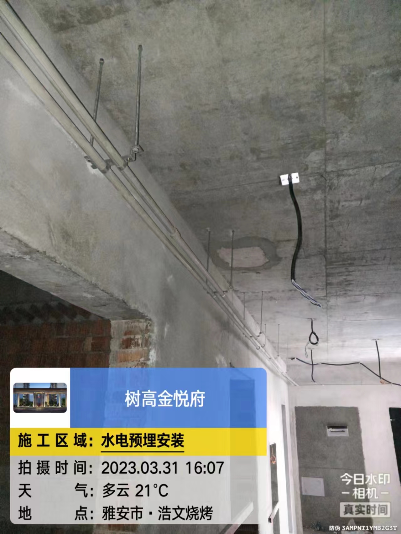 1680503371134256.jpg 1680503371134256.jpg