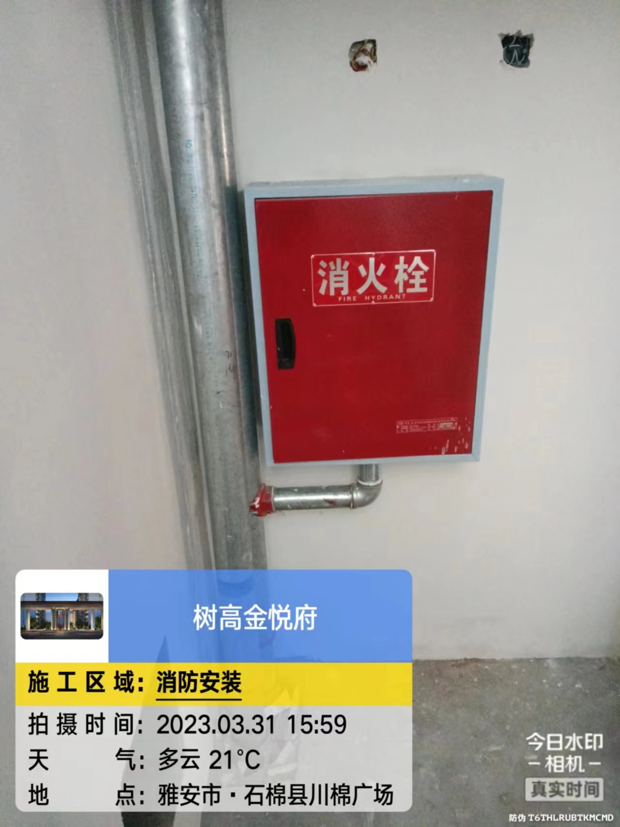 1680503371203139.jpg 1680503371203139.jpg