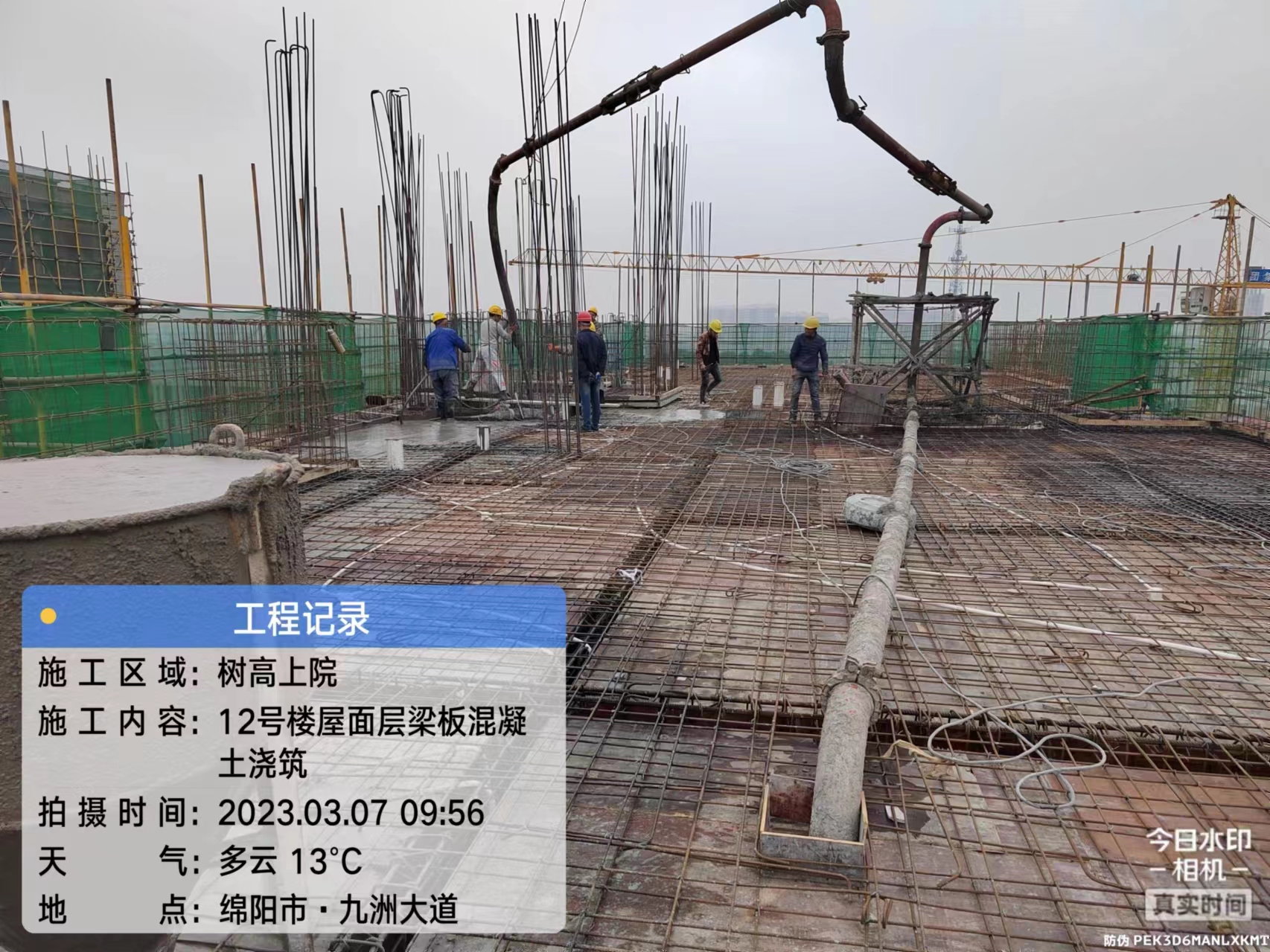 1680504693356548.jpg 1680504693356548.jpg