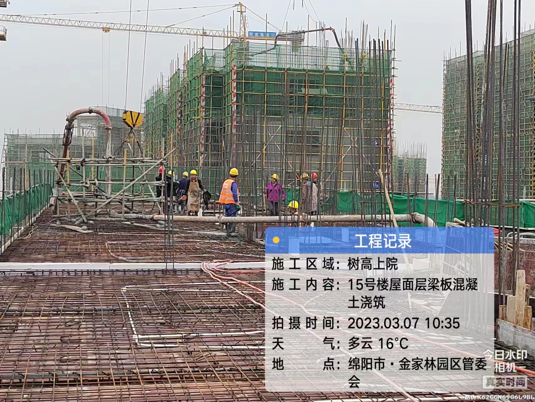 1680504693436560.jpg 1680504693436560.jpg