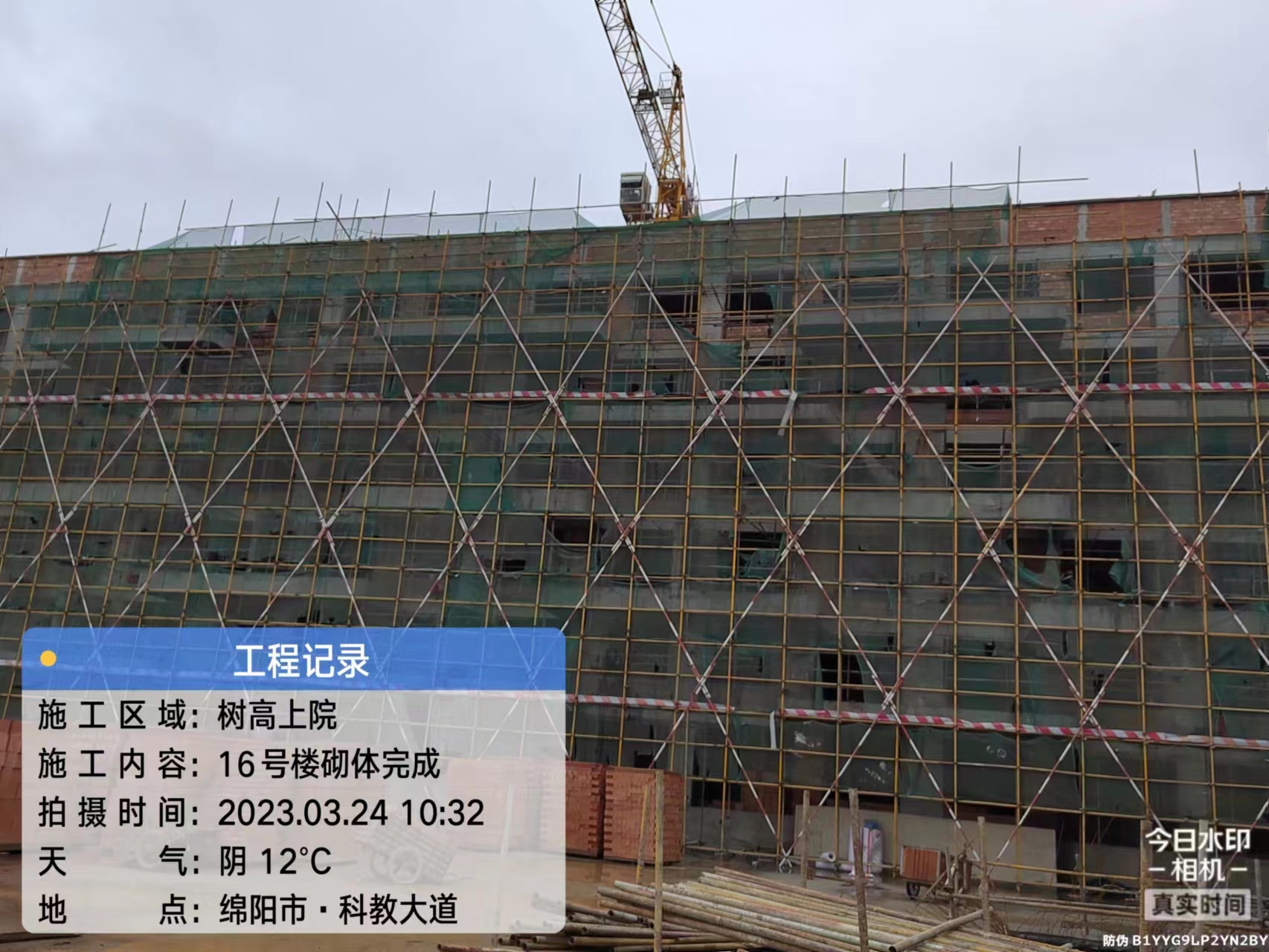 1680504694101672.jpg 1680504694101672.jpg