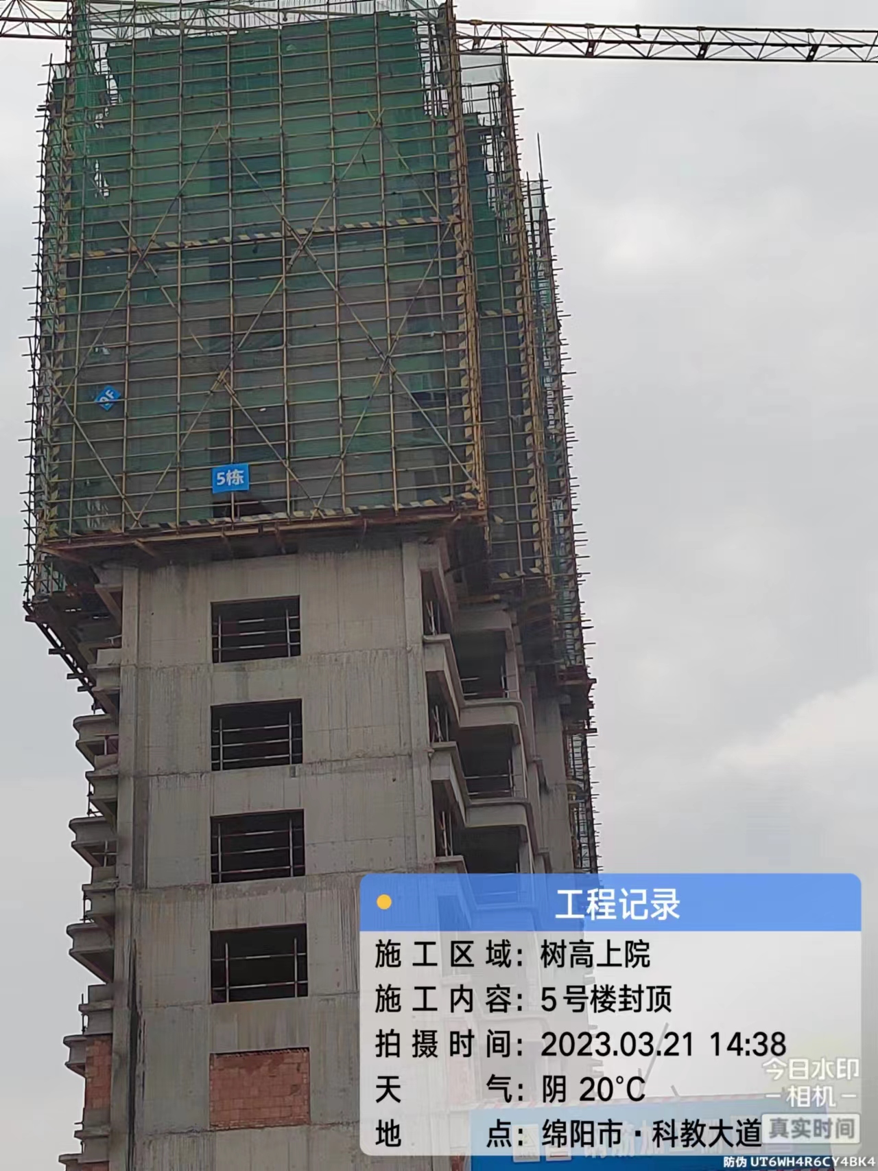 1680504694120084.jpg 1680504694120084.jpg