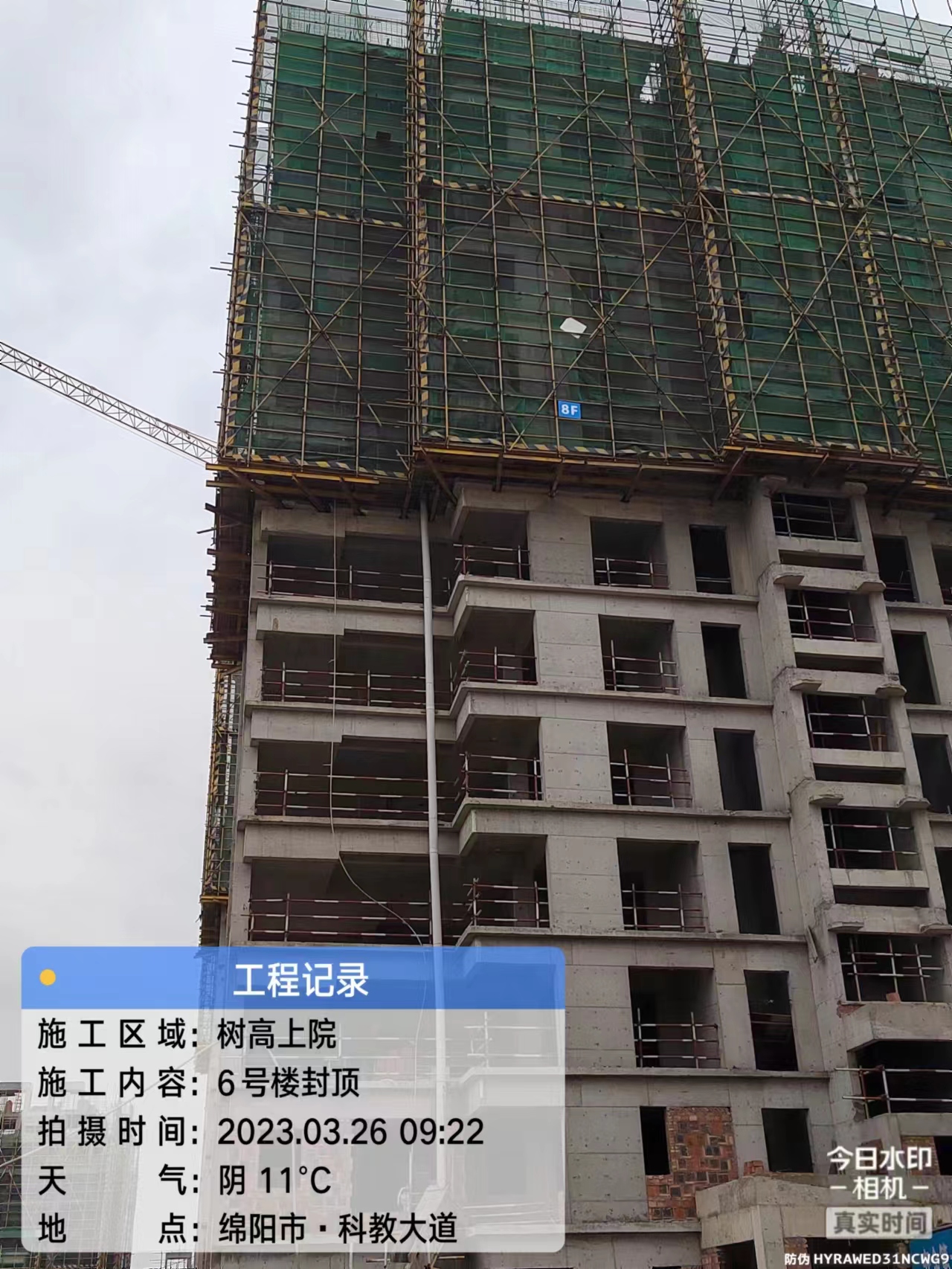 1680504694149750.jpg 1680504694149750.jpg