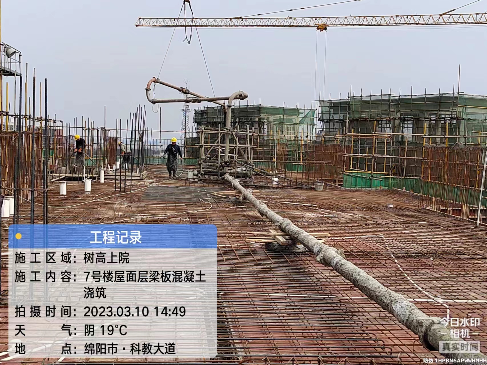 1680504694178540.jpg 1680504694178540.jpg