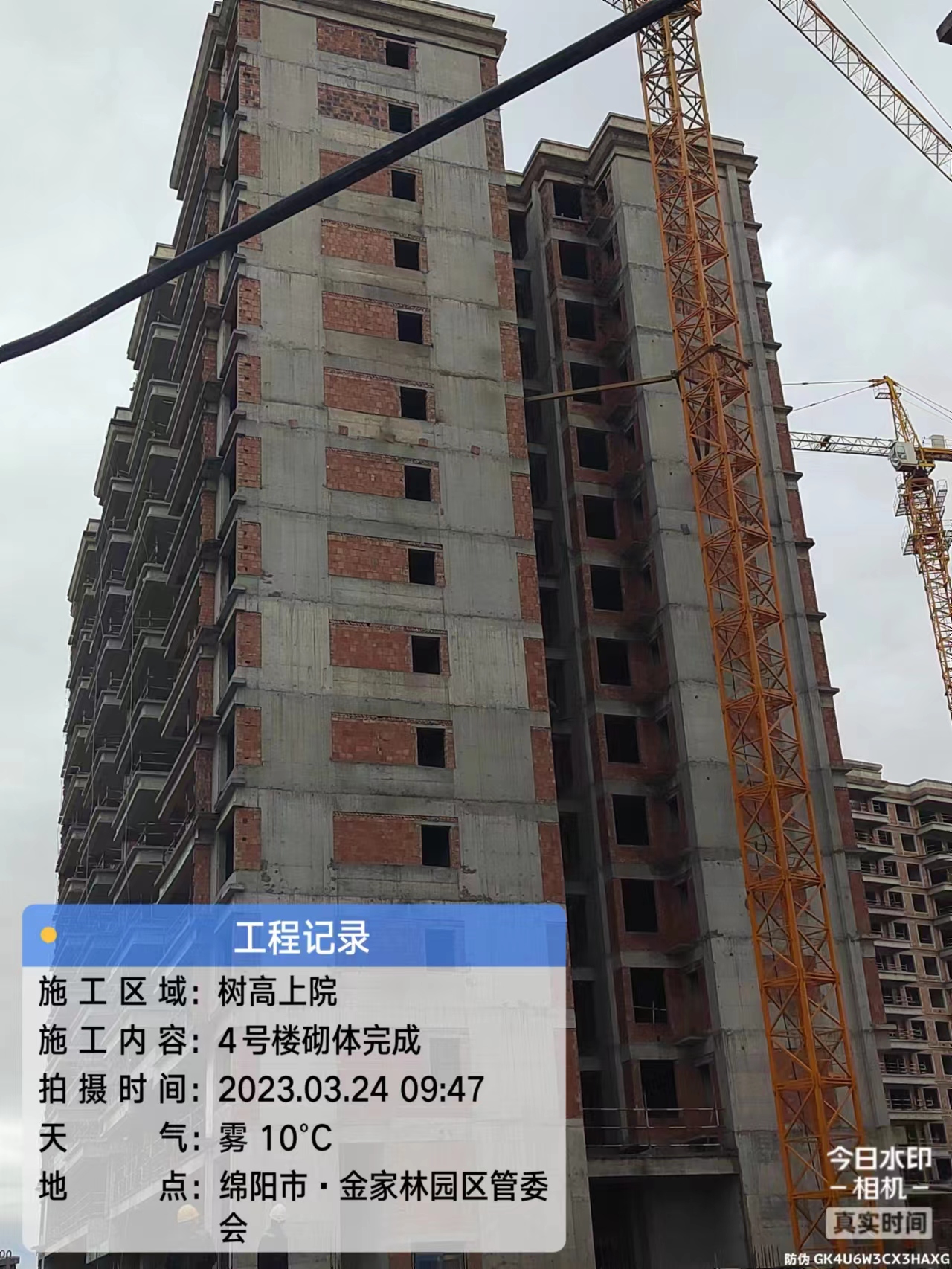 1680504694197759.jpg 1680504694197759.jpg