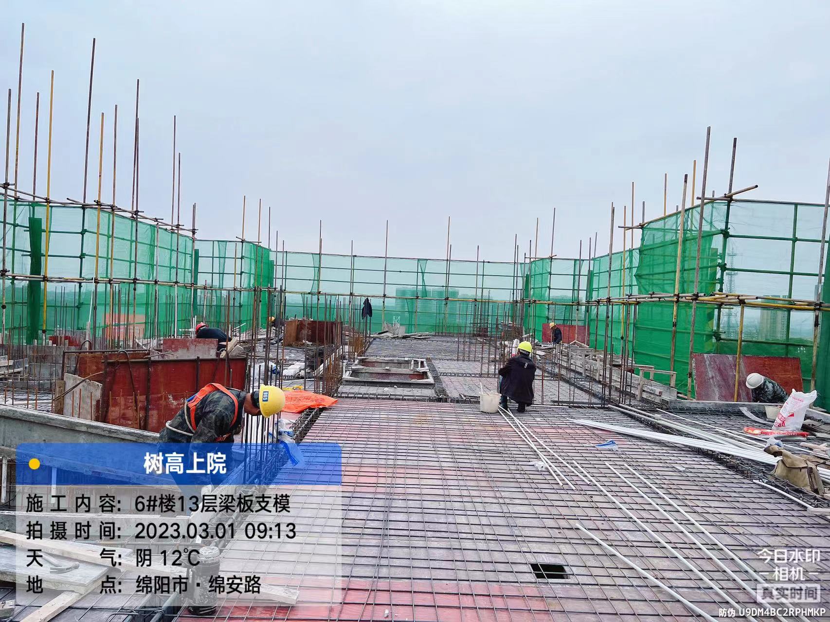 1680504694797925.jpg 1680504694797925.jpg