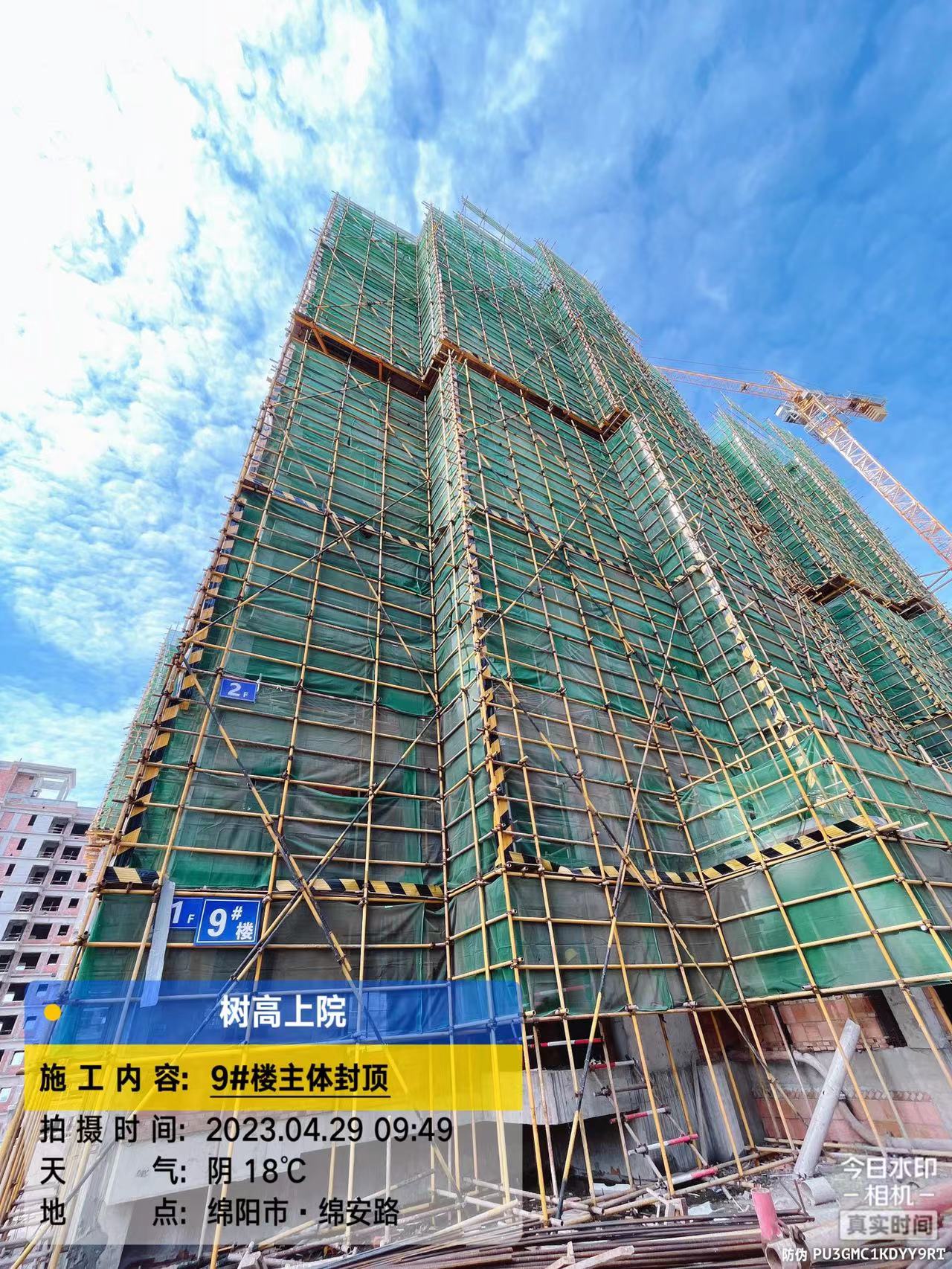 1683183181204527.jpg 1683183181204527.jpg