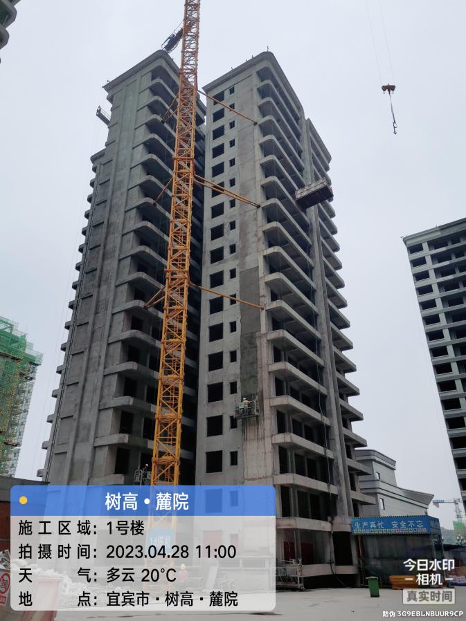 1683184914148635.jpg 1683184914148635.jpg