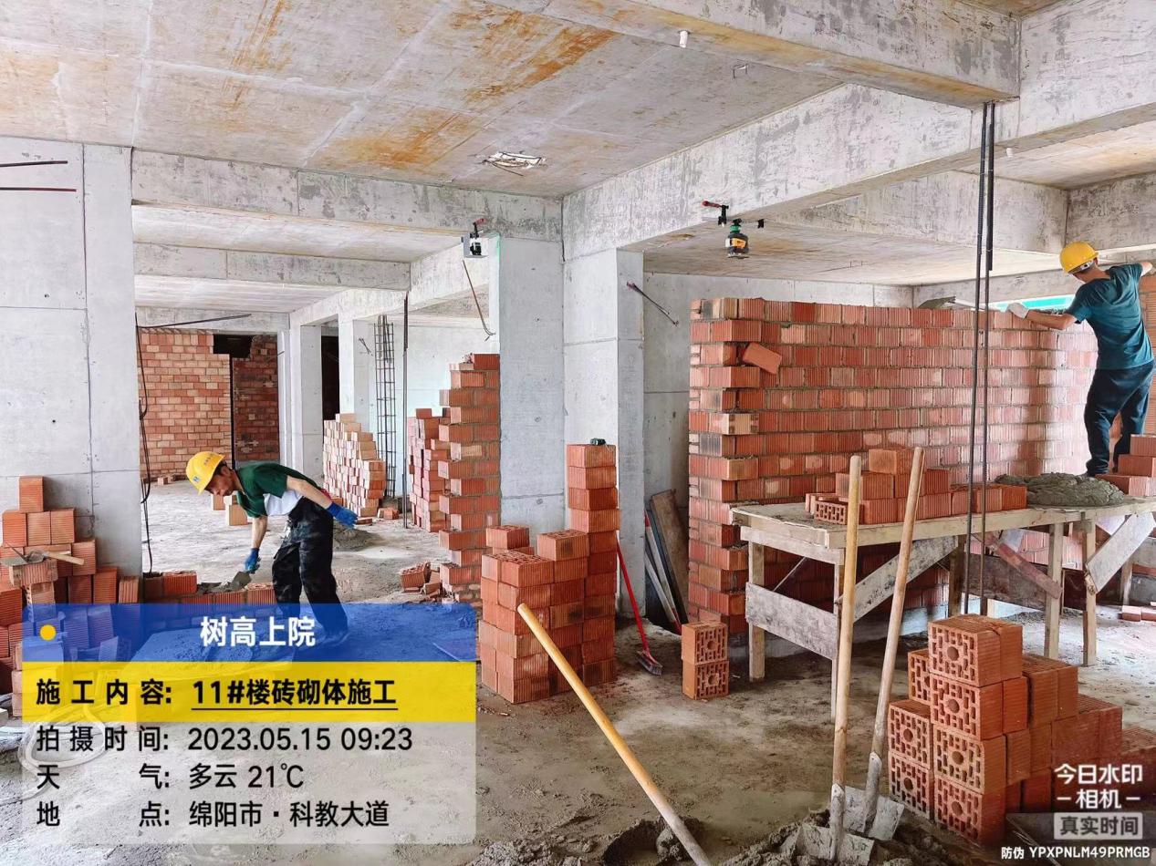 1684215699167432.jpg 1684215699167432.jpg