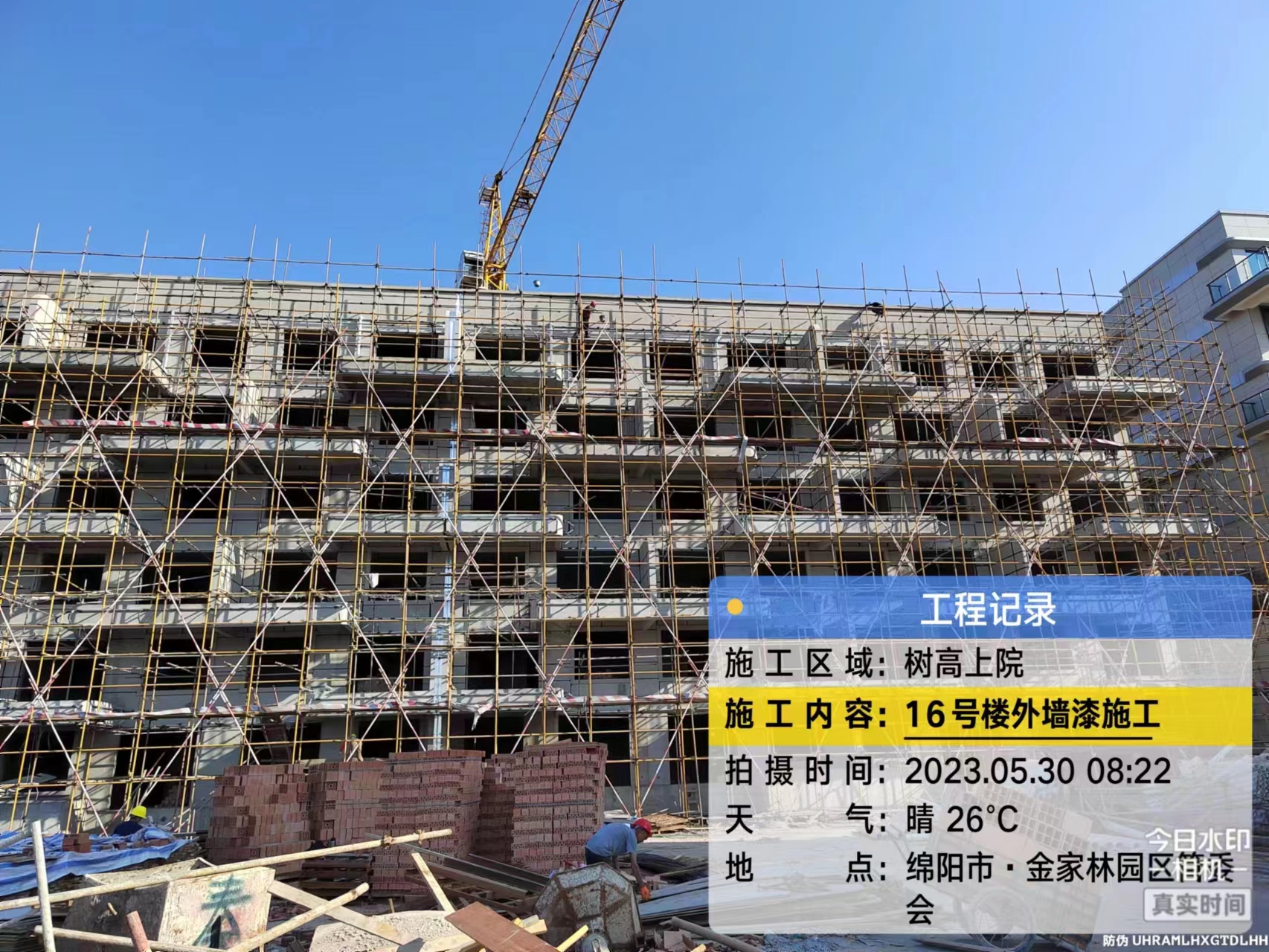 1685512060193797.jpg 1685512060193797.jpg