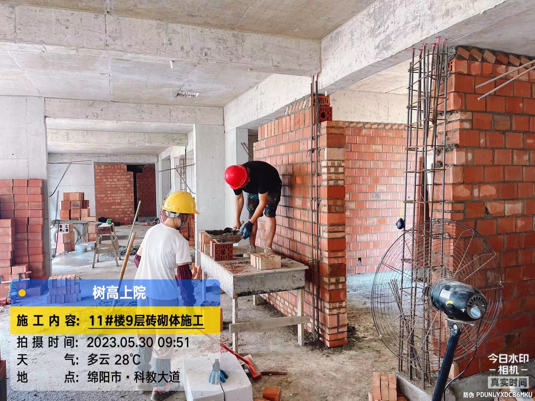 1685512061182159.jpg 1685512061182159.jpg