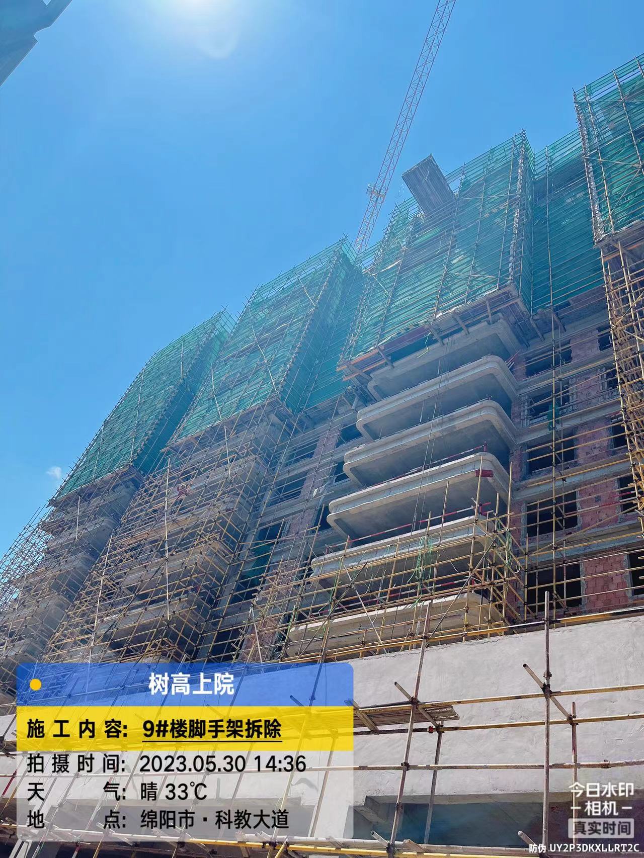 1685512061741396.jpg 1685512061741396.jpg