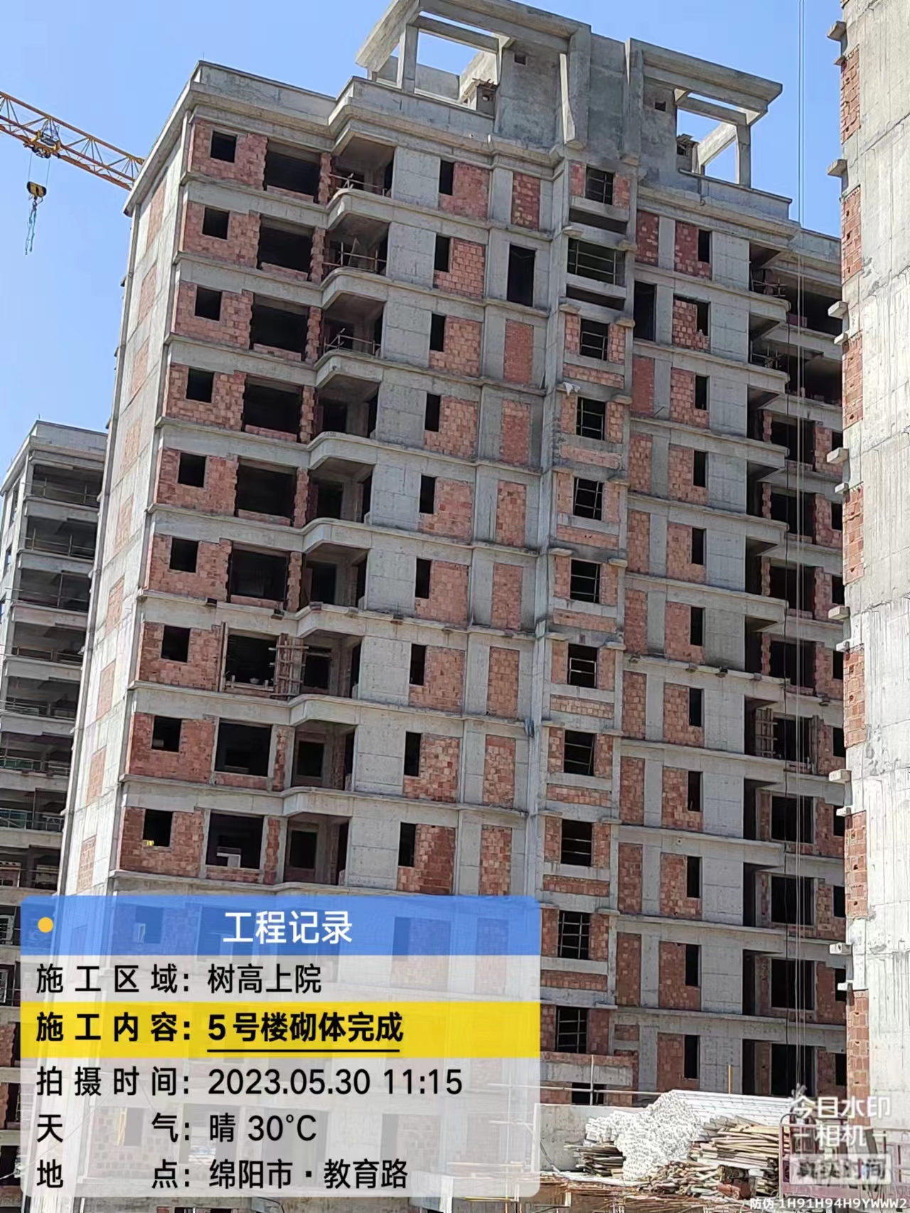 1685512062561530.jpg 1685512062561530.jpg