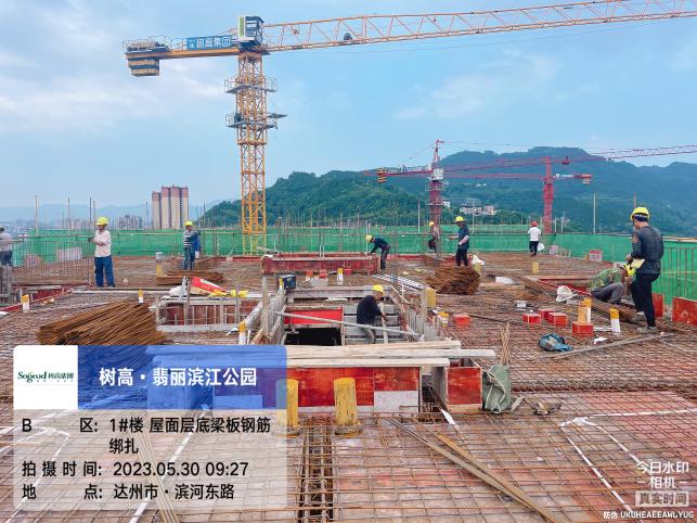 1685512755283765.jpg 1685512755283765.jpg