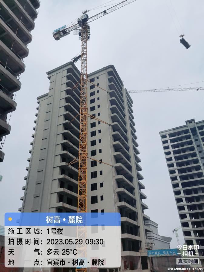 1685513049595258.jpg 1685513049595258.jpg