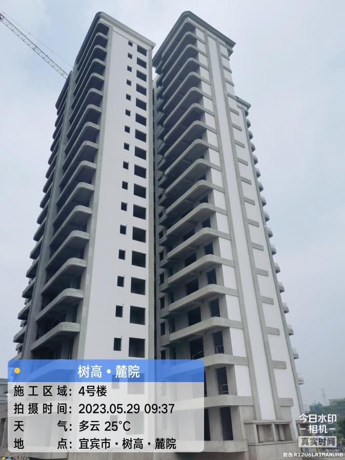 1685513050223616.jpg 1685513050223616.jpg