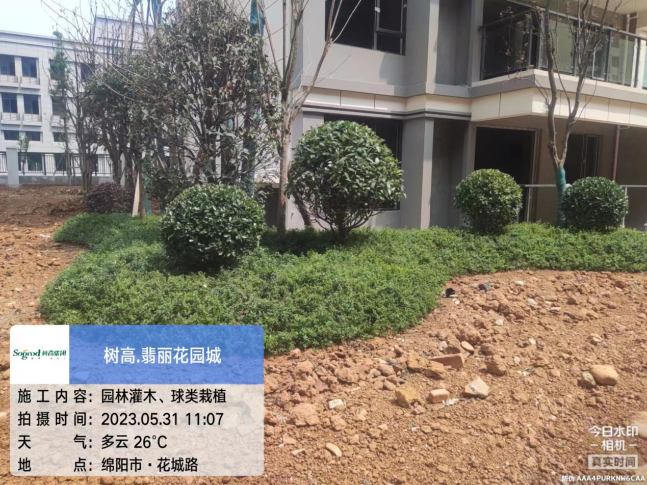 1685514369142528.jpg 1685514369142528.jpg