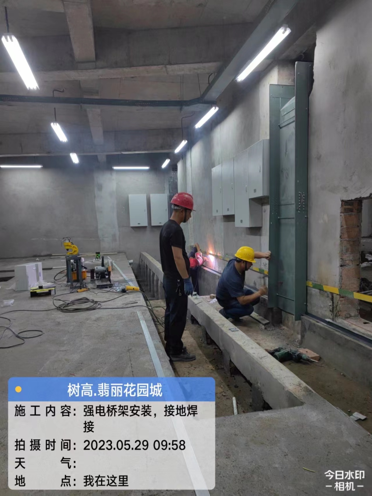 1685514369143295.jpg 1685514369143295.jpg