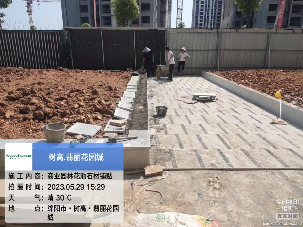 1685514369180728.jpg 1685514369180728.jpg