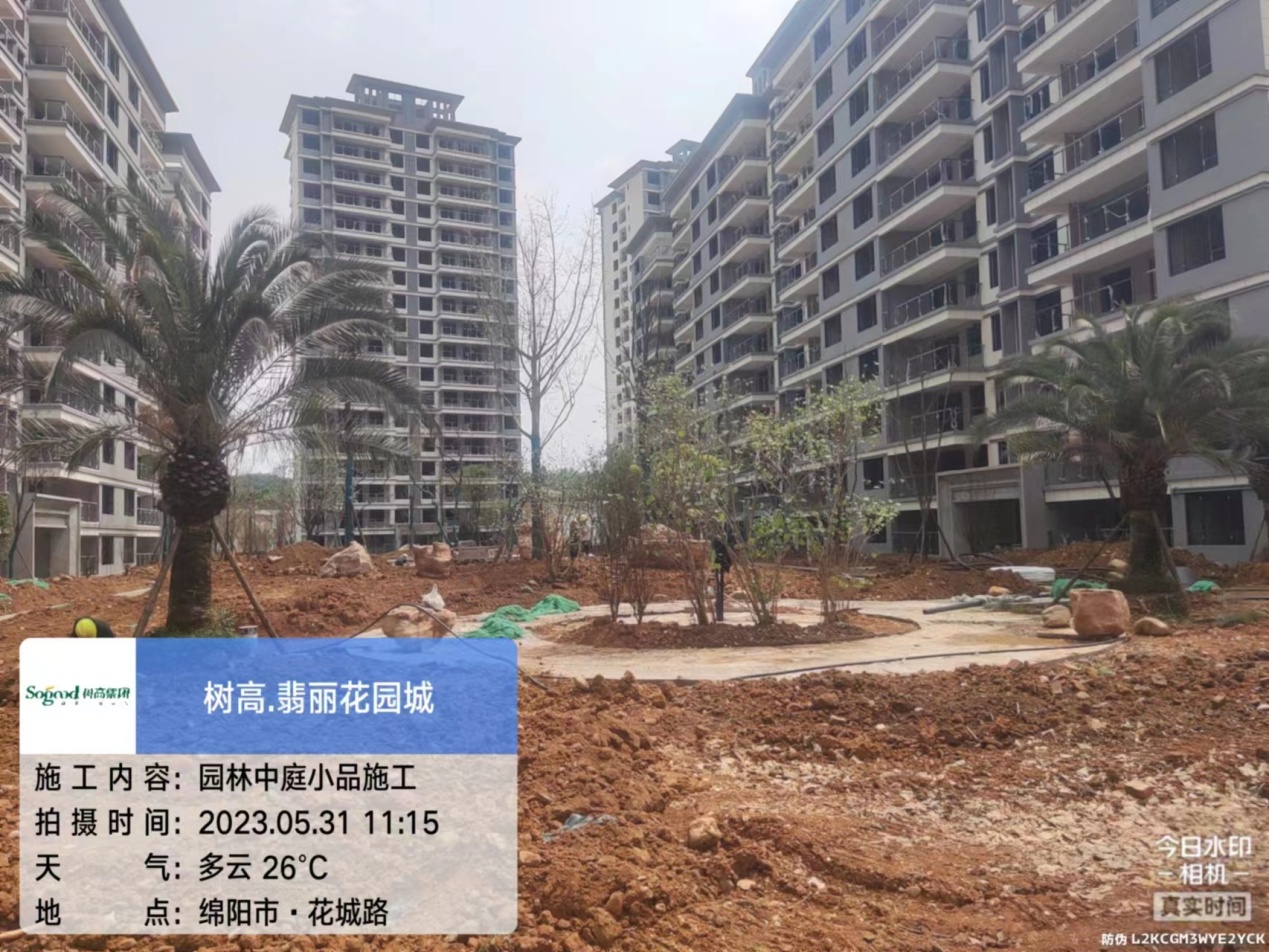 1685514369341448.jpg 1685514369341448.jpg