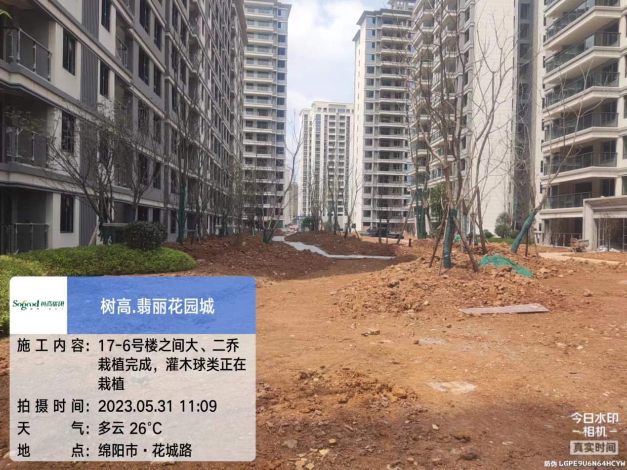 1685514369459935.jpg 1685514369459935.jpg