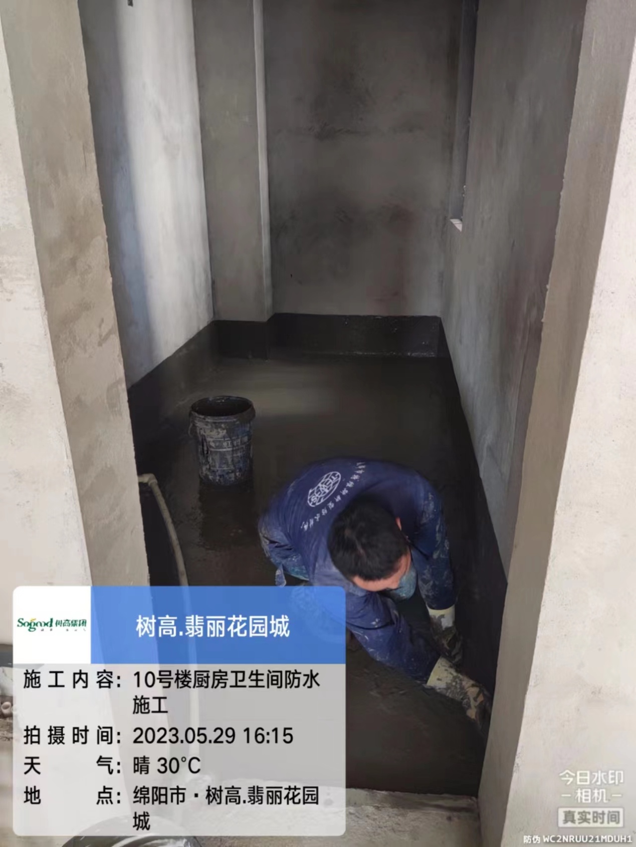 1685514369674680.jpg 1685514369674680.jpg