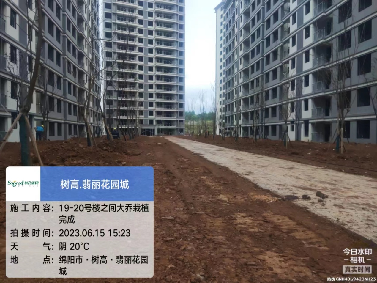 1686900939173562.jpg 1686900939173562.jpg