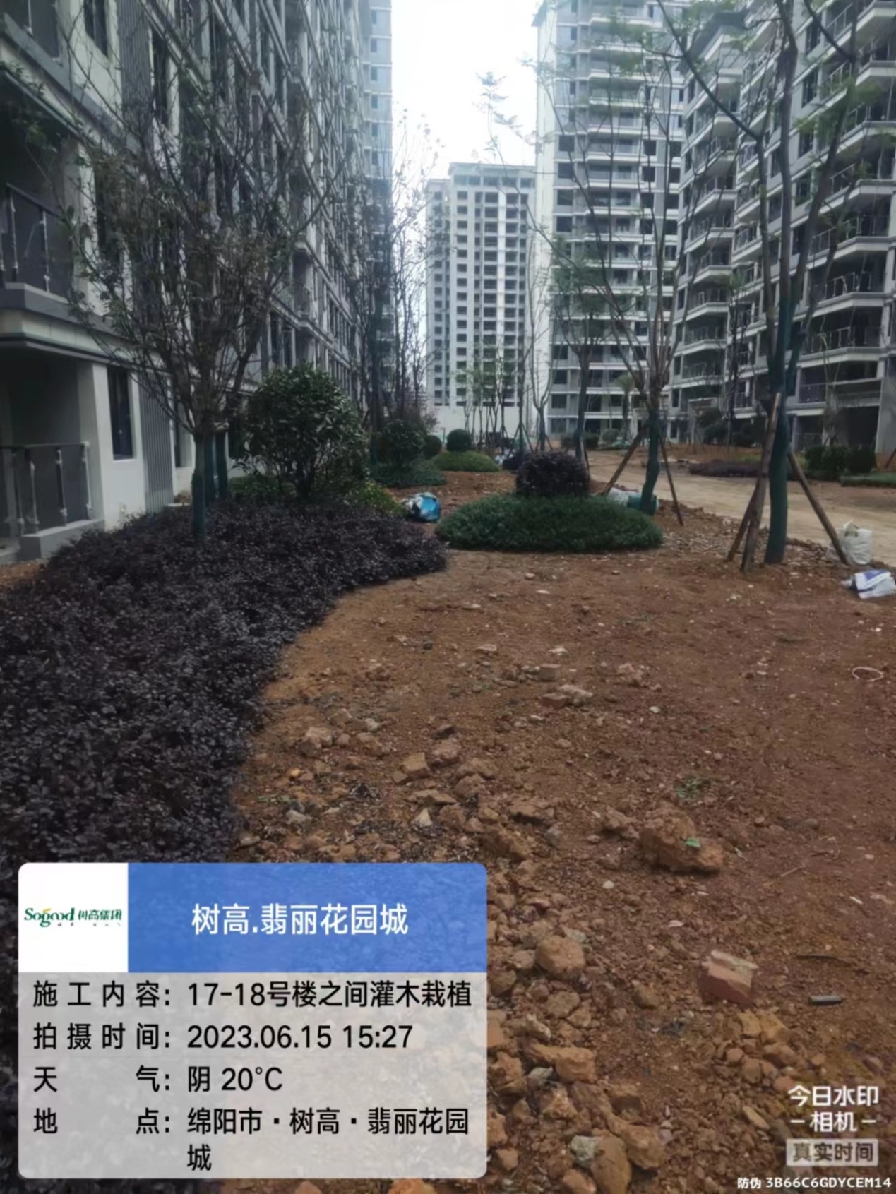 1686900939211983.jpg 1686900939211983.jpg