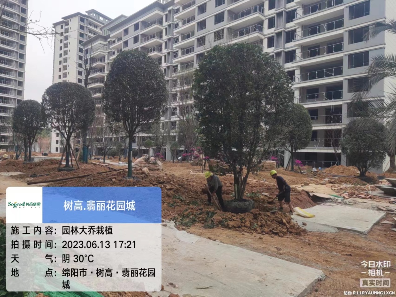 1686900939701037.jpg 1686900939701037.jpg