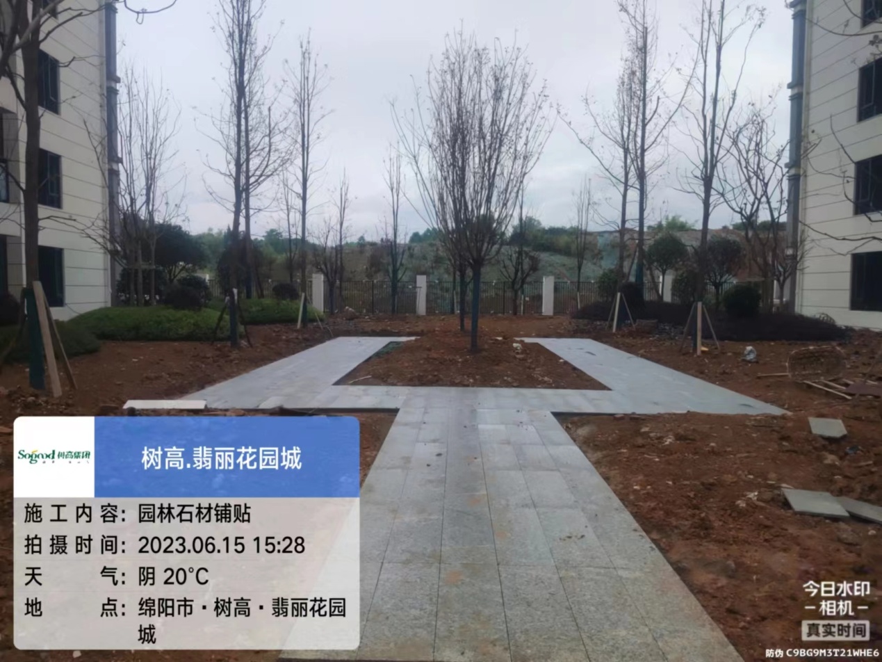 1686900939836670.jpg 1686900939836670.jpg