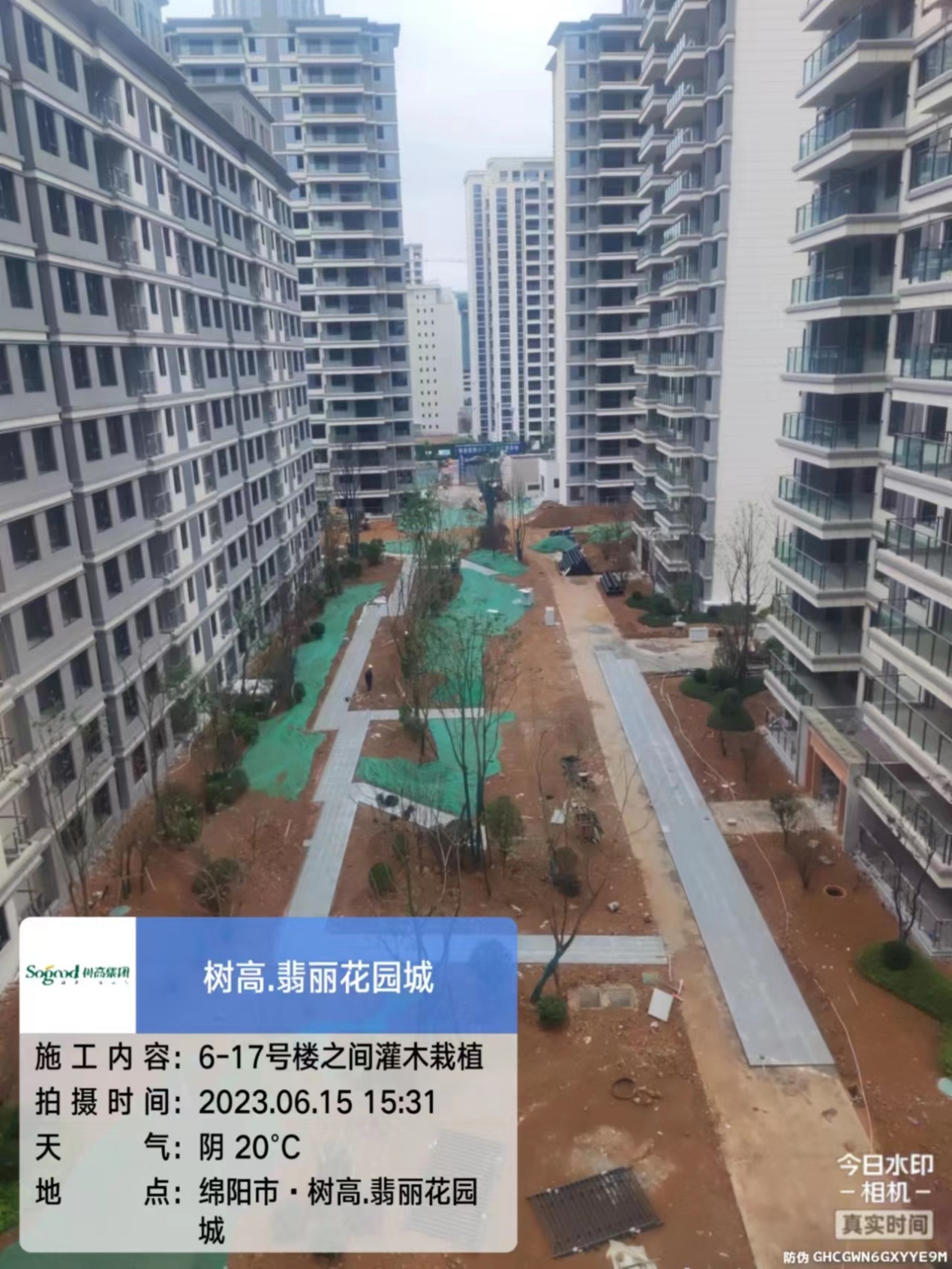 1686900939893791.jpg 1686900939893791.jpg