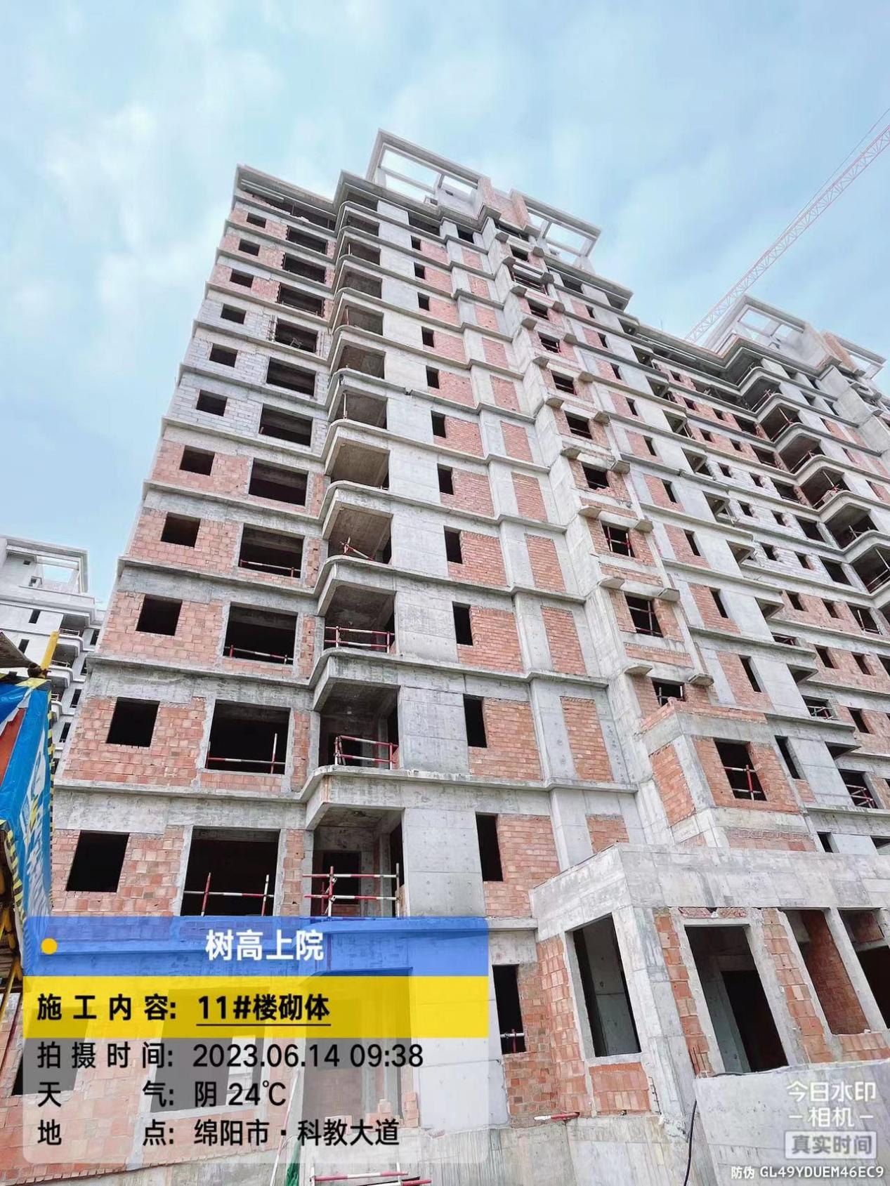 1686902795192944.jpg 1686902795192944.jpg