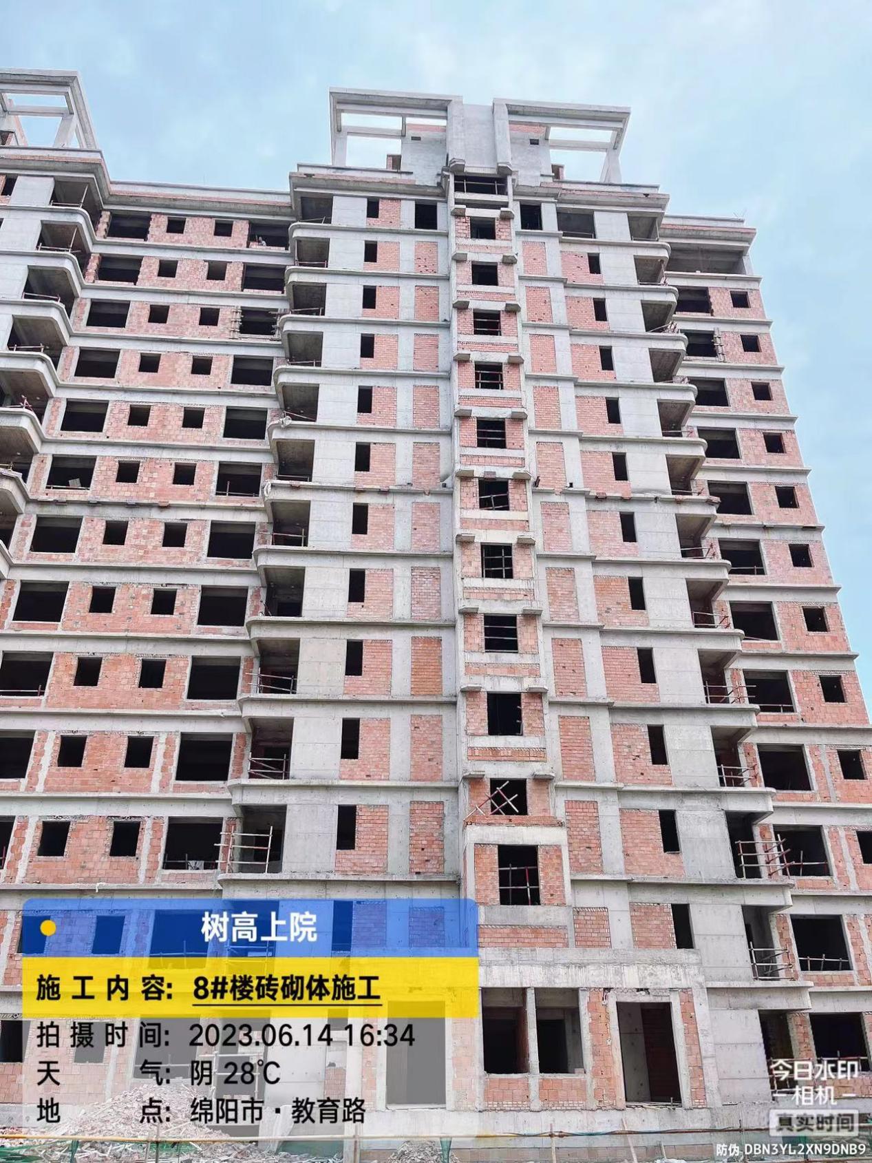 1686902795207821.jpg 1686902795207821.jpg