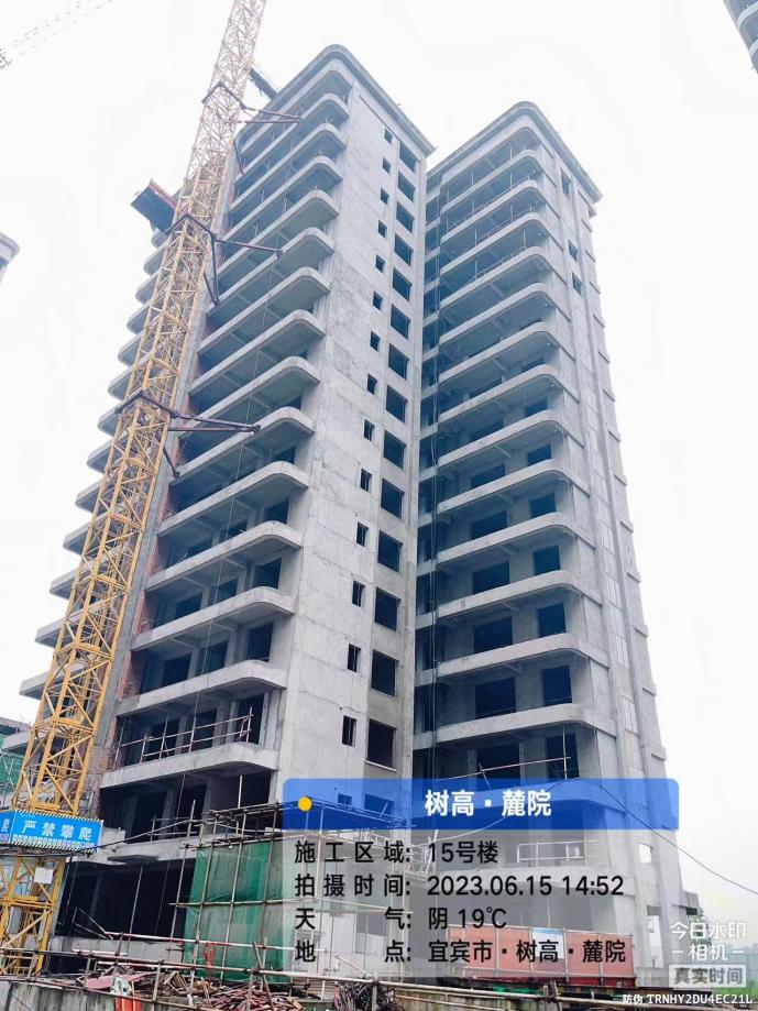 1686903289767691.jpg 1686903289767691.jpg