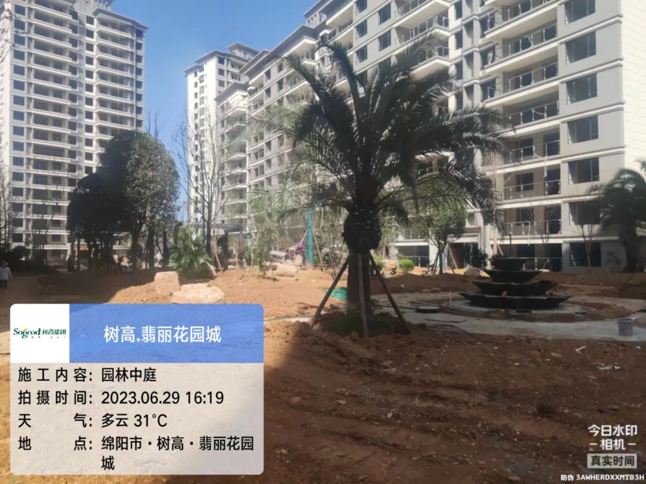 1688111869131549.jpg 1688111869131549.jpg