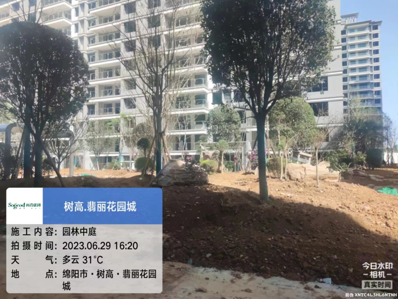 1688111869141836.jpg 1688111869141836.jpg